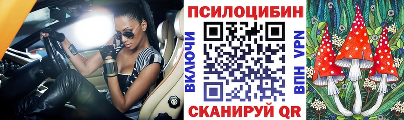 Купить  Наволоки  Псилоцибиновые грибы прущие грибы 